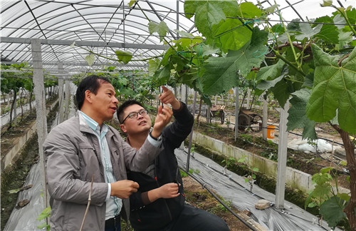 惠多利&ldquo;師徒制&rdquo;葡萄班學員赴嘉興學藝