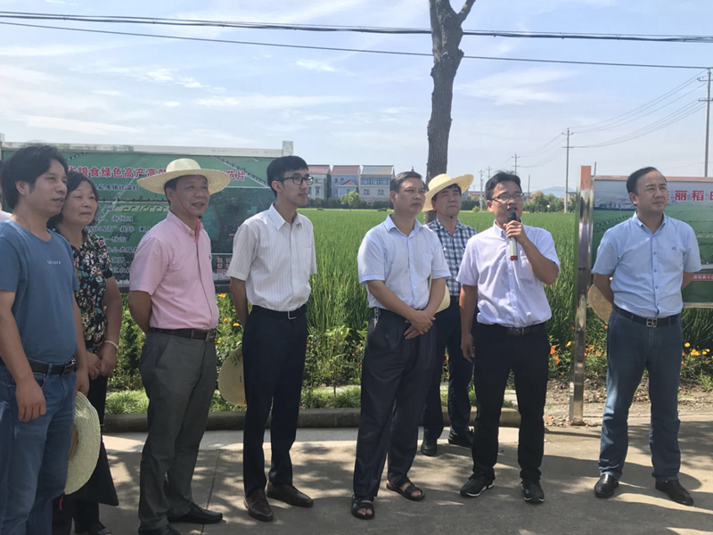 &ldquo;惠多利&rdquo;有機無機復(fù)混肥助力化肥減量增效