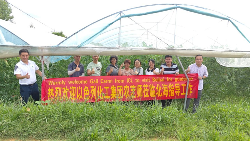 時(shí)令瓜果正當(dāng)季 技術(shù)服務(wù)到田間&mdash;&mdash;愛普科技攜手以色列農(nóng)藝師助力瓜農(nóng)穩(wěn)產(chǎn)增收